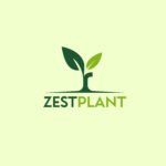 Product Shoot 5 Creative branding design by ZestyClicks digital marketing agency