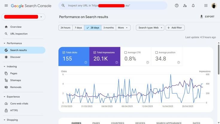 SEO growth and results over months